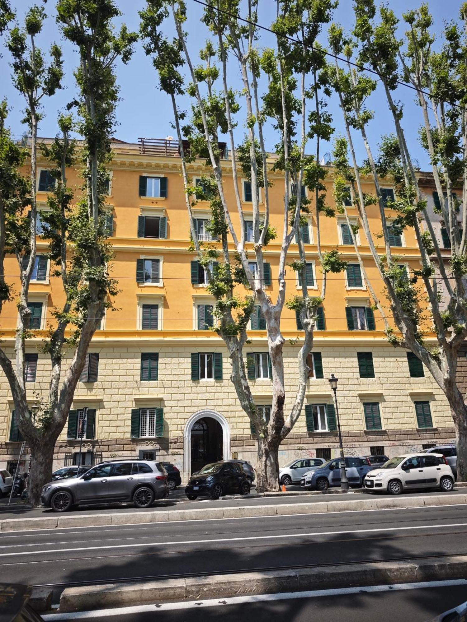 Vatican Comfort Roma